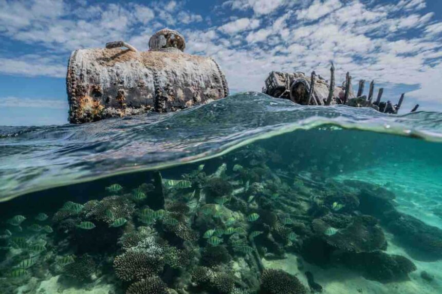 Split-level shot of a rusted shipwreck above the surface and coral reef below