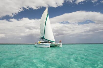 Shore Thing sailing catamaran with white sails cruising turquoise water carrying passengers