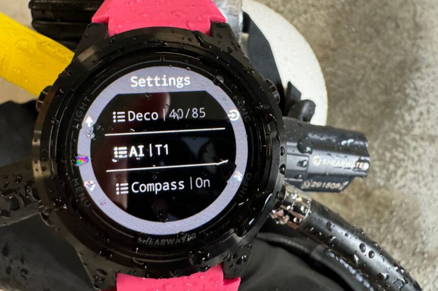 Wet Shearwater Tern TX on a pink strap showing its settings menu next to a Swift transmitter
