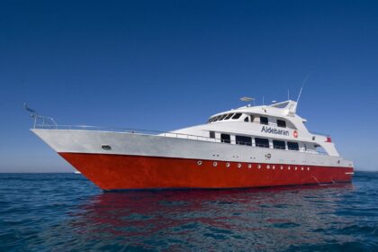 Aldebaran liveaboard yacht with a red hull anchored on open blue water