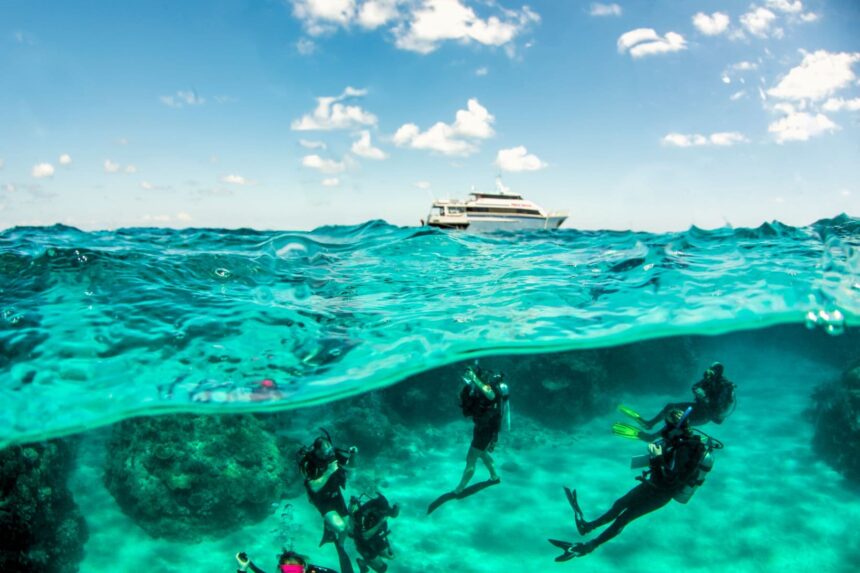 Divers descending near the Pro Dive Cairns boat over a shallow reef