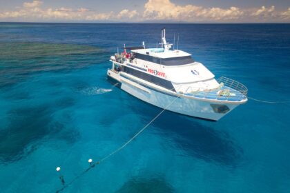 Pro Dive Cairns boat moored above a turquoise reef with mooring lines visible