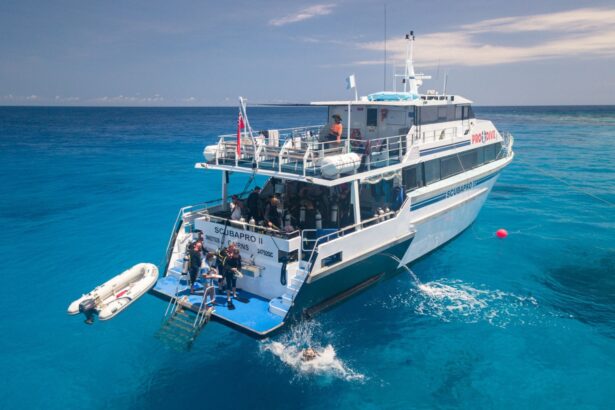 Divers preparing to enter the water from the Scubapro II's dive platform