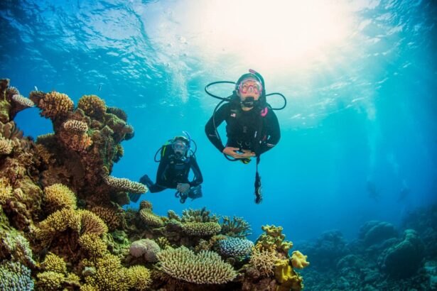 Two divers exploring a coral reef bathed in sunlight