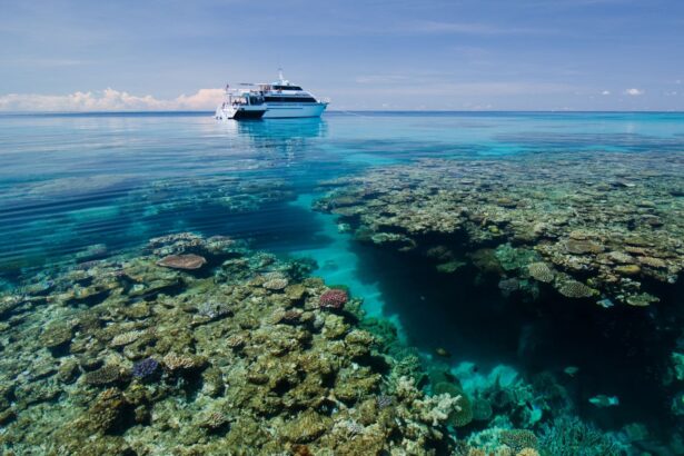 Liveaboard anchored above a shallow coral reef on the Great Barrier Reef