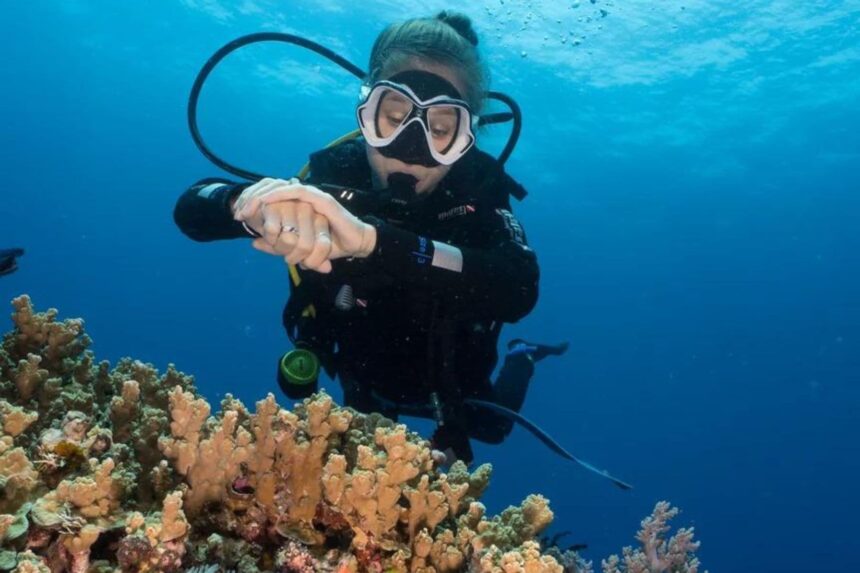 A diver checking equipment beside a coral reef in clear blue water