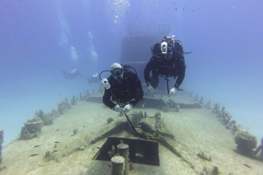 Two divers with cameras hovering over a sunken shipwreck deck in clear blue water