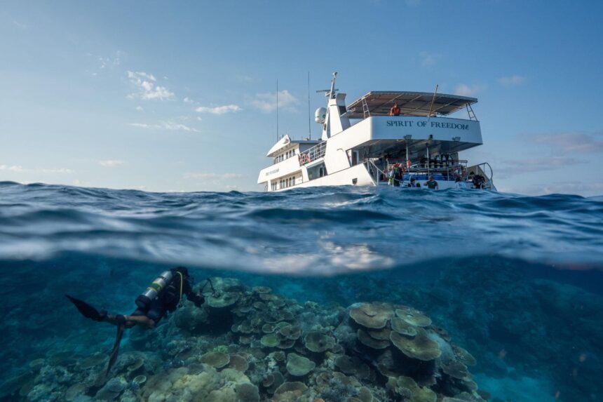 Split shot of a diver descending beneath the Spirit of Freedom liveaboard