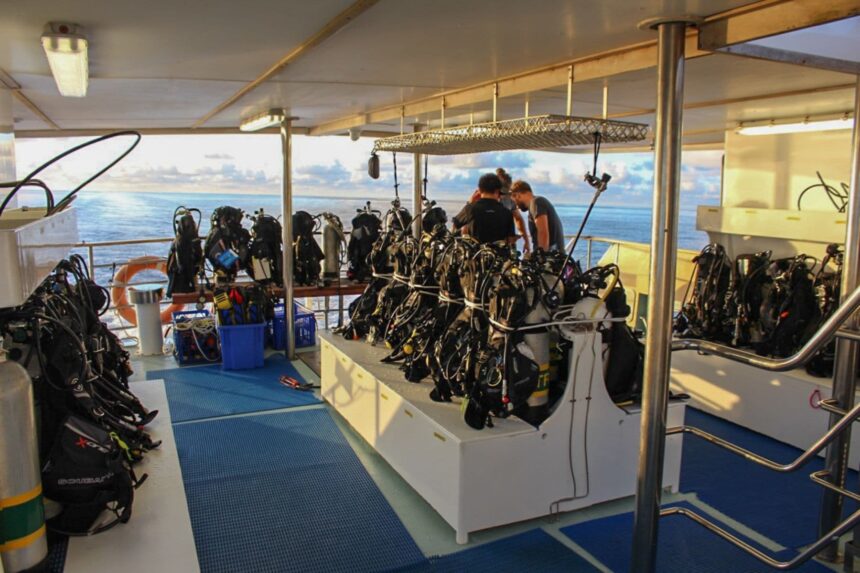 Rows of scuba gear set up on the Spirit of Freedom dive deck as crew prepare tanks