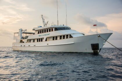 Spirit of Freedom liveaboard moored at dusk with its bow line secured