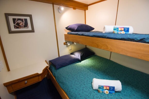 Bunk-style cabin with reef photo on the wall and towels laid on the beds