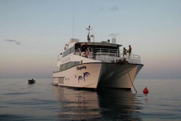 MV Odyssey catamaran anchored at sunset with guests on deck