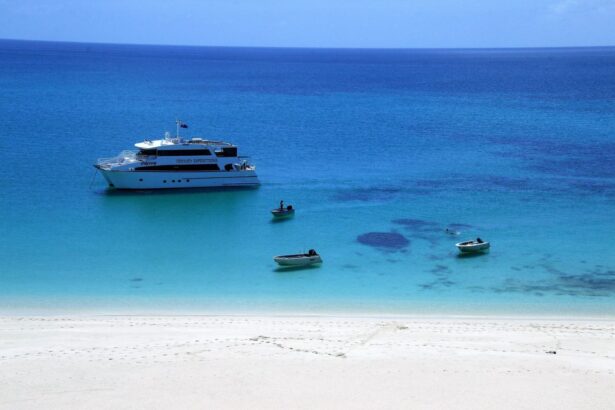 Aerial view of the MV Odyssey anchored off a white sand beach