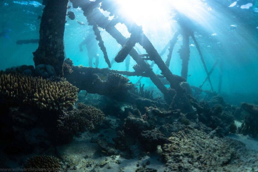 Sunlit wreck framework covered in coral with a diver in the background
