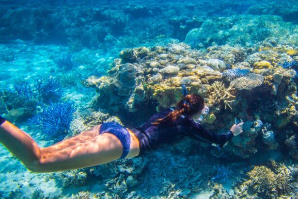 Snorkeler exploring a shallow coral reef