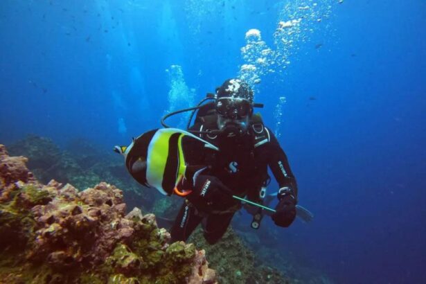 Diver swimming past a butterflyfish over the reef