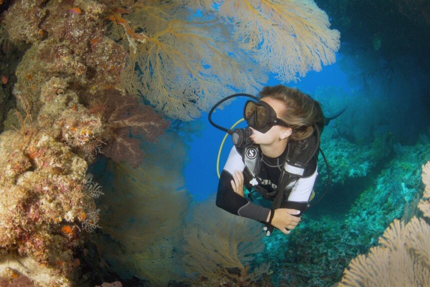 Diver hovering beside a coral wall thick with sea fans on an SV Rum Runner dive