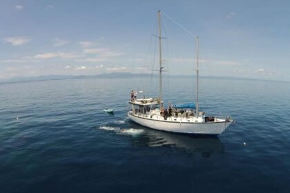 The SV Rum Runner sailing liveaboard anchored with snorkelers in the water nearby