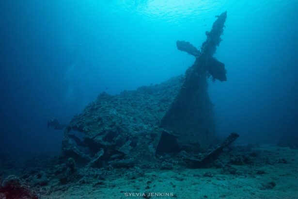 Diver exploring the mast of a sunken wreck encrusted in coral