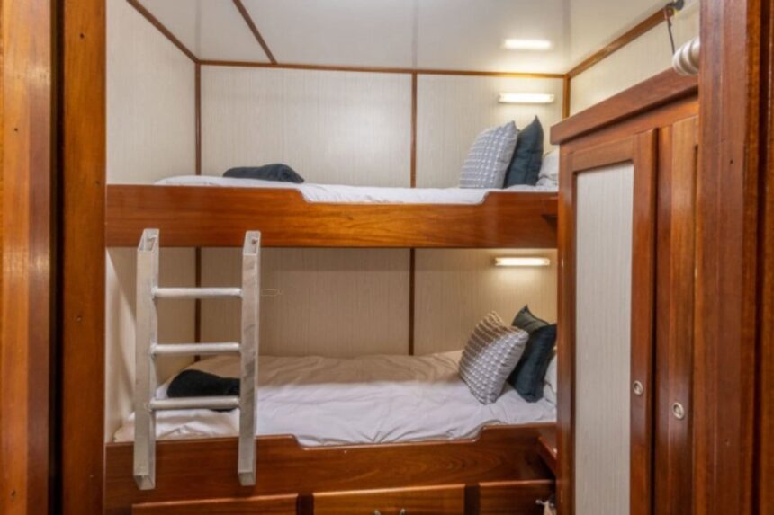 Wood-paneled bunk cabin aboard the MV Rodney Fox with a ladder to the upper berth