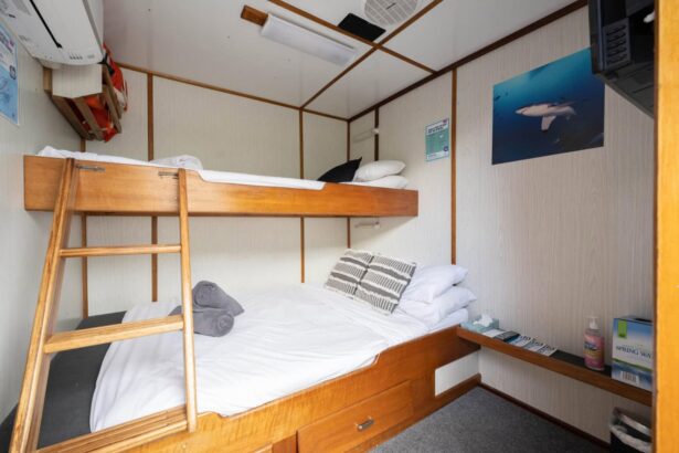 Twin bunk cabin aboard the MV Rodney Fox decorated with a shark photo on the wall