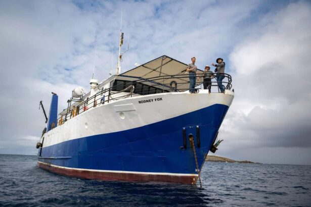 Dive deck aboard the MV Rodney Fox lined with tanks and gear storage crates