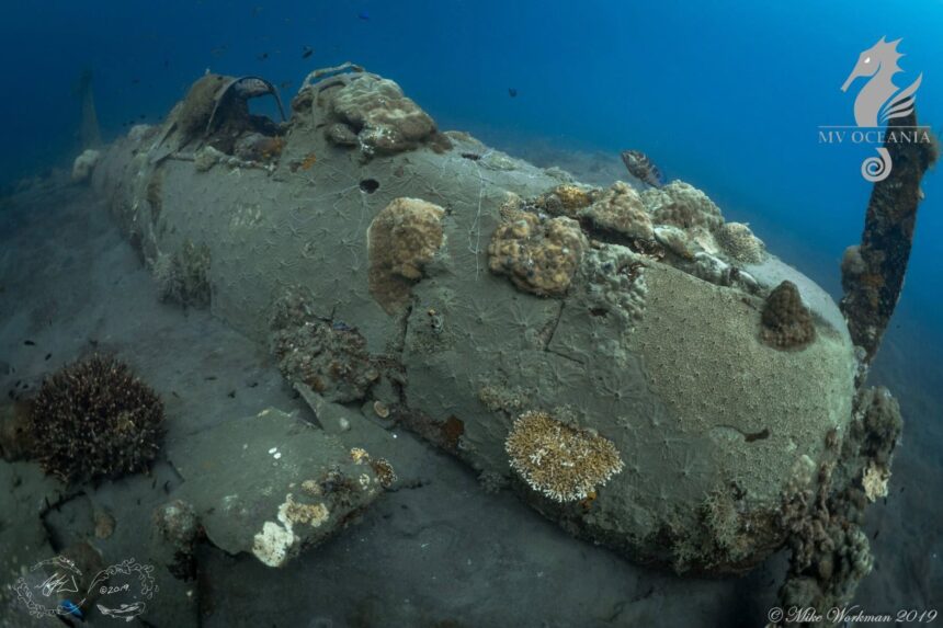 Coral-encrusted shipwreck explored on an MV Oceania dive