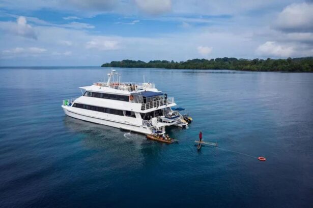 Aerial view of MV Oceania anchored off a forested tropical coastline