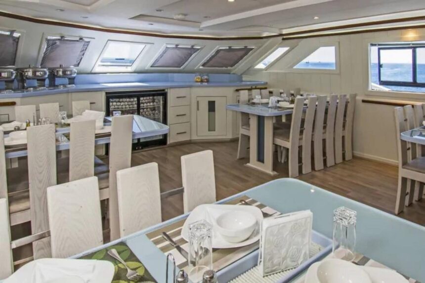 Dining room with white chairs and tables lit by overhead skylights