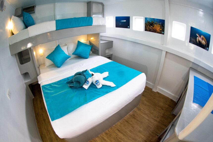 bunk cabin with teal bedding aboard the Seadoors liveaboard