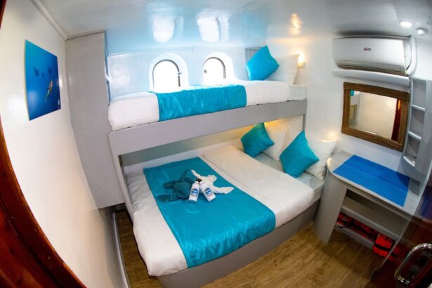 bunk cabin with teal bedding and wall art aboard the Seadoors