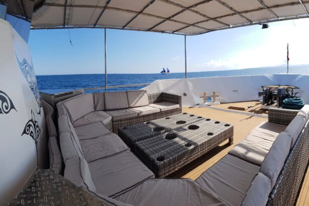 sun deck sofa seating aboard the Seadoors with manta ray mural