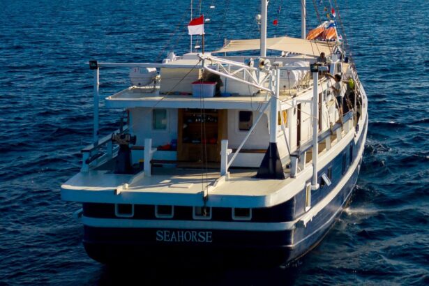 Rear view of the MSY Seahorse underway with crew on deck