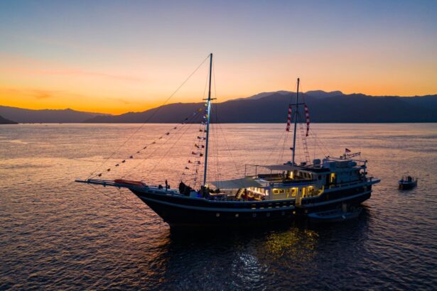 The MSY Seahorse anchored at sunset with strings of flags and mountains silhouetted behind it