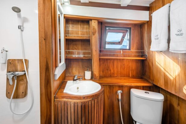 Wooden cabin bathroom with a handheld shower, sink and toilet aboard a liveaboard