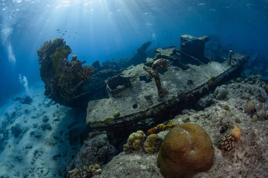 Coral-encrusted shipwreck on the seabed with a diver exploring in the background
