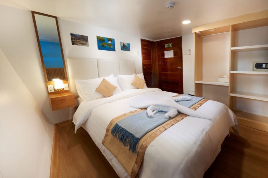 Cabin aboard the Solitude One liveaboard with a made-up bed and reading nook