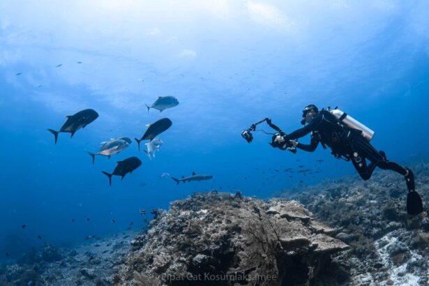 Diver photographing a school of jacks and a shark over the reef