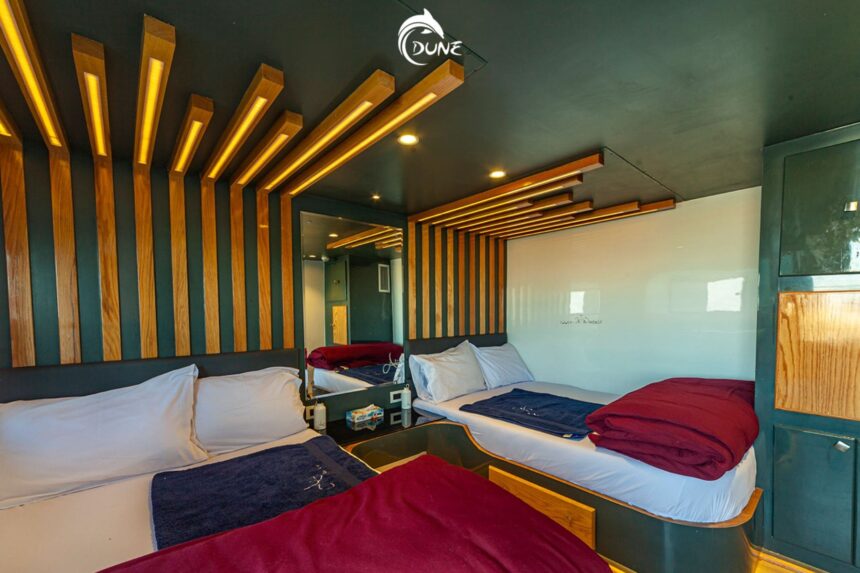 Twin cabin aboard the Alia liveaboard with wood-slat lighting accents