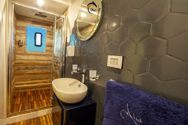 Ensuite bathroom aboard the Alia liveaboard with a walk-in shower