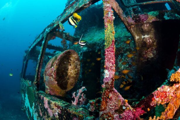 Close-up of a shipwreck's stern encrusted with soft coral and reef fish