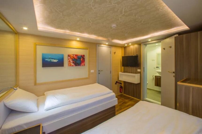 Twin bed cabin aboard the MY Blue with framed marine life photos on the wall