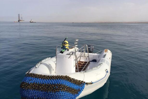 Rigid inflatable tender boat floating near the MY Blue with a toy mascot on board