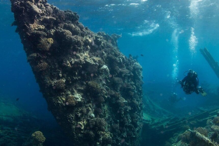 Diver approaching a coral-encrusted shipwreck bow underwater