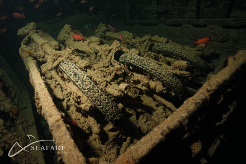 Coral-encrusted wreckage with reef fish swimming through the twisted metal