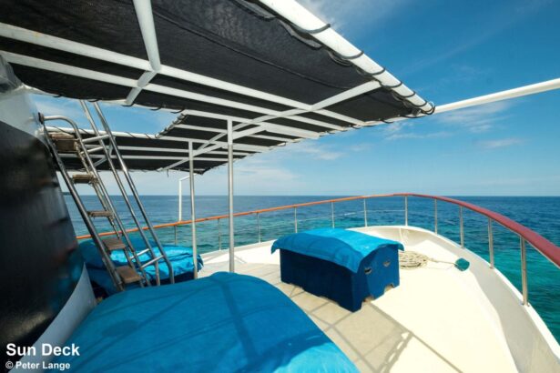 Shaded sun deck with blue loungers aboard the MV FeBrina liveaboard