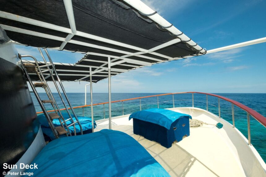 Shaded sun deck with blue loungers aboard the MV FeBrina liveaboard