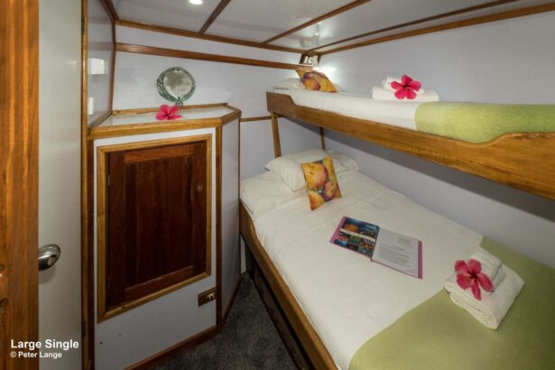 Large single cabin aboard the MV FeBrina with bunk beds decorated with flowers