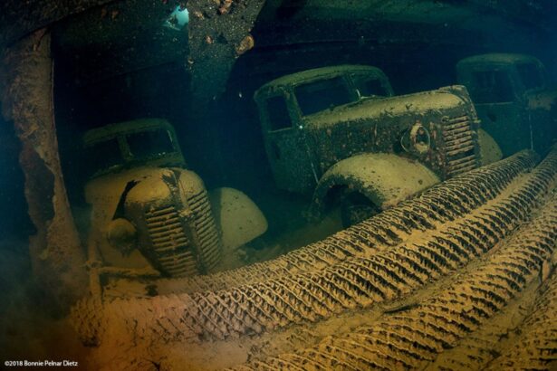 Sunken military trucks resting inside a wreck, encrusted with growth