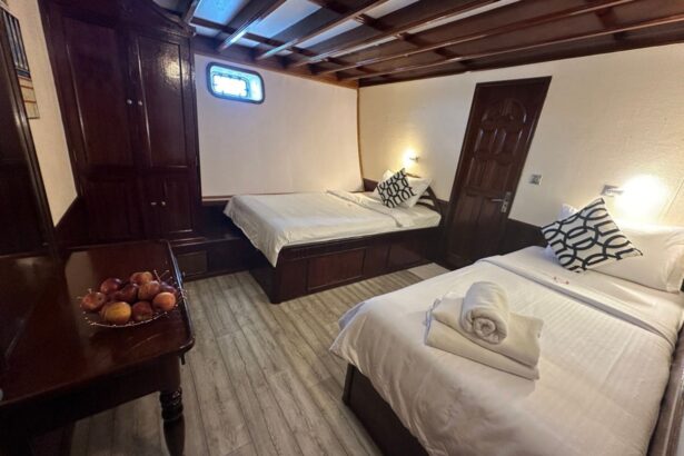 Twin cabin aboard the Amba liveaboard with dark wood cabinetry and a fruit bowl on the bedside table